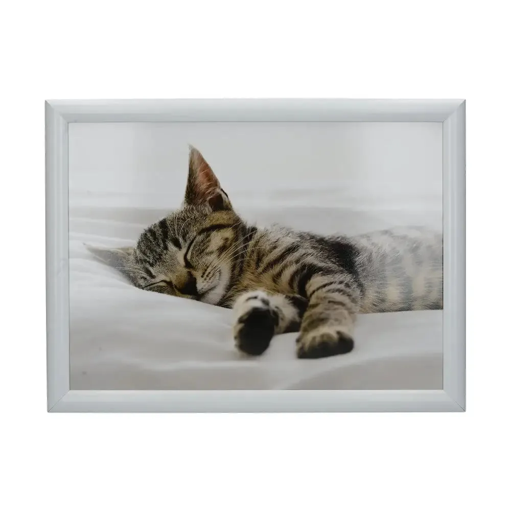 Creative Tops Sleeping Kitten Lap Tray